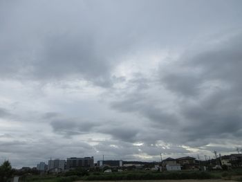 366-s-1.jpg