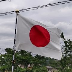 2612
